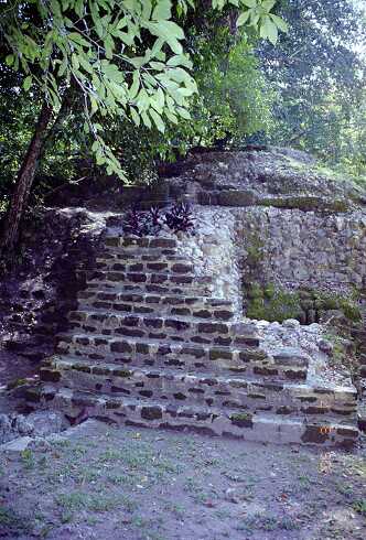 ff000109.jpg