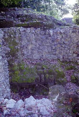 ff000110.jpg