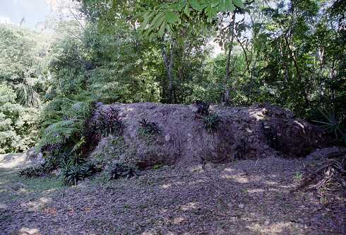 ff000113.jpg