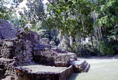 ff000117.jpg