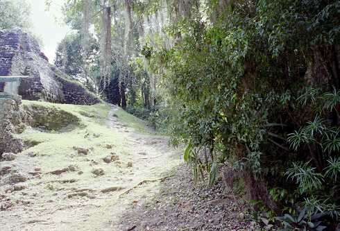 ff000130.jpg