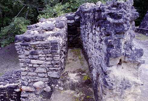 ff000132.jpg