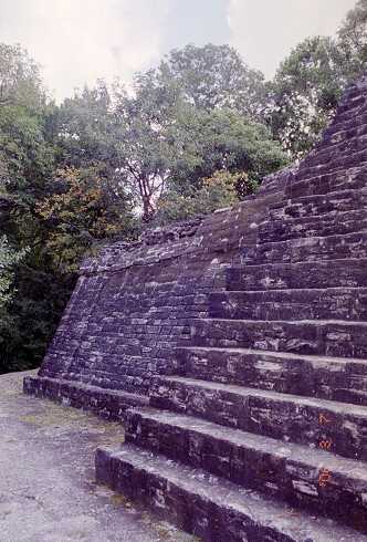ff000133.jpg