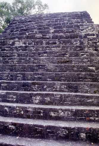 ff000134.jpg