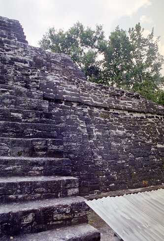 ff000135.jpg