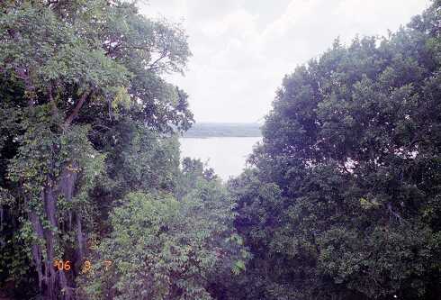 ff000142.jpg