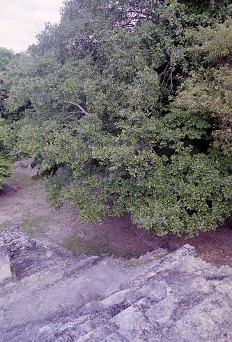 ff000144.jpg