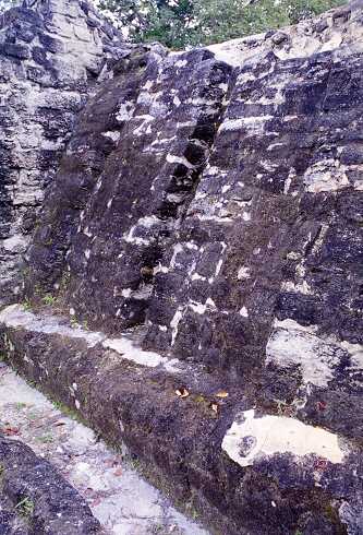 ff000150.jpg