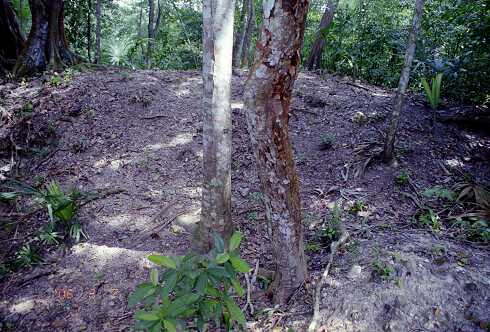 ff000157.jpg