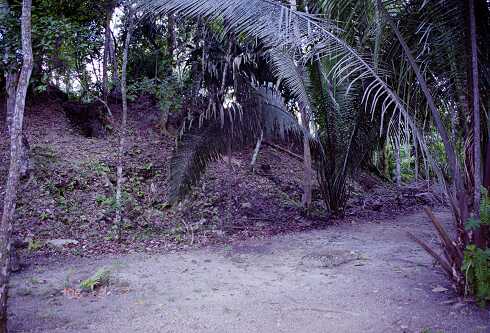 ff000171.jpg