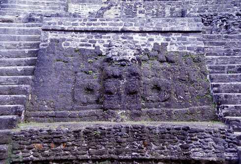 ff000175.jpg