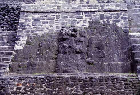 ff000177.jpg