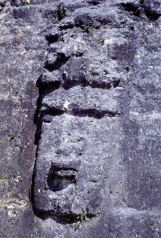 ff000185.jpg