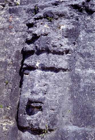 ff000186.jpg