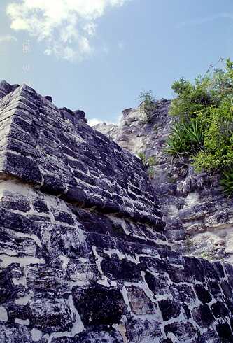 ff000193.jpg