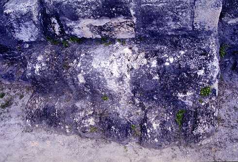 ff000194.jpg