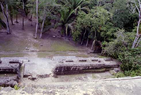 ff000196.jpg