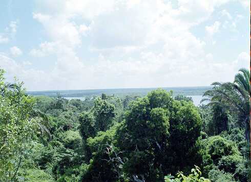 ff000197.jpg
