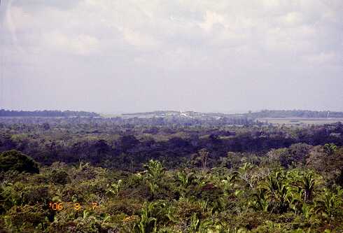 ff000208.jpg