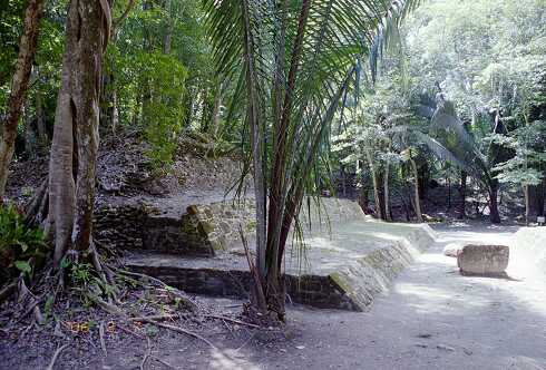 ff000210.jpg