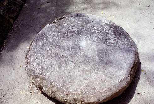 ff000212.jpg