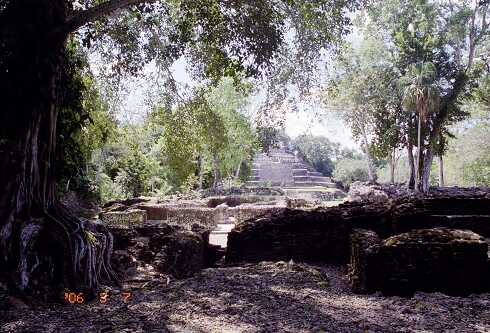 ff000228.jpg