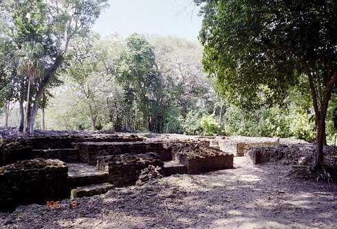 ff000229.jpg