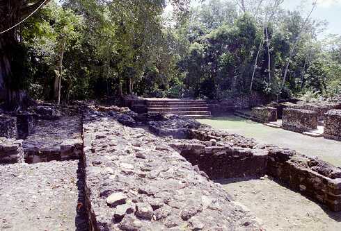 ff000230.jpg