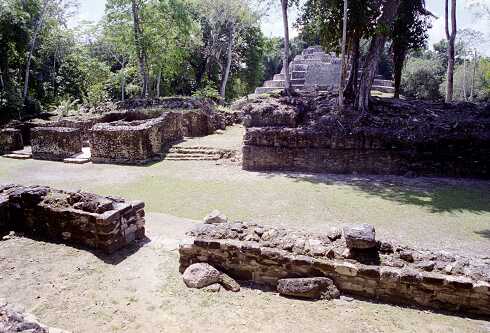 ff000231.jpg