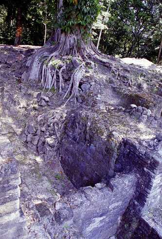 ff000233.jpg