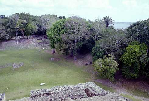 ff000293.jpg