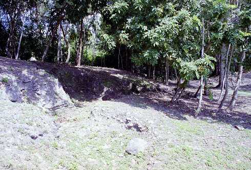 ff000298.jpg