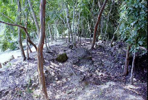 ff000302.jpg