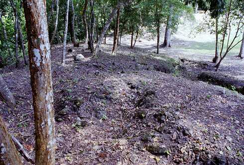 ff000303.jpg
