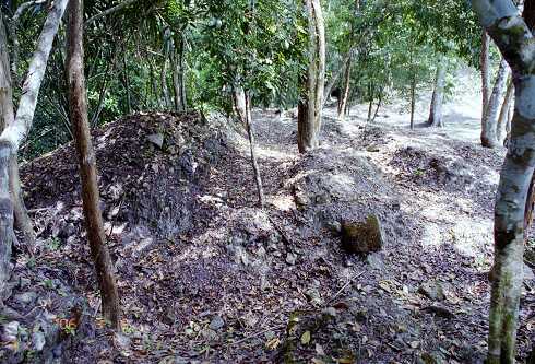 ff000305.jpg