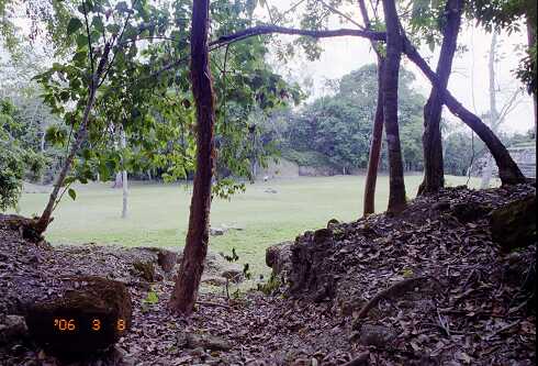 ff000307.jpg