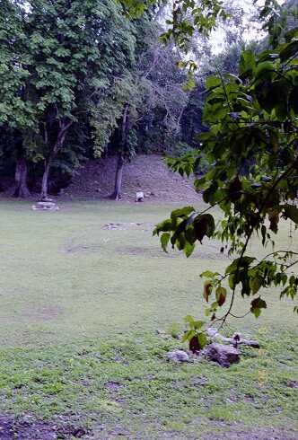 ff000310.jpg