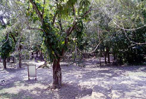 ff000317.jpg