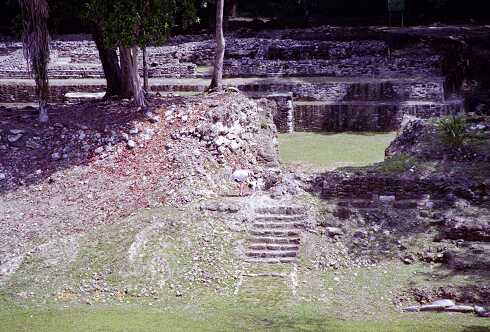 ff000318.jpg