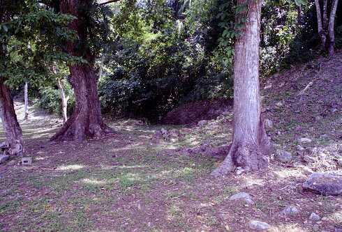 ff000321.jpg