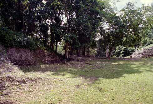 ff000323.jpg