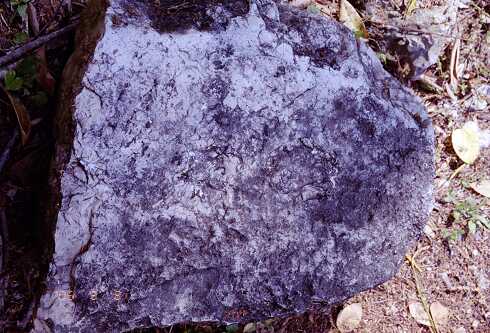 ff000324.jpg