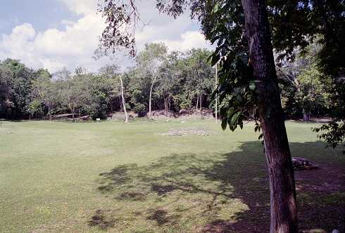 ff000326.jpg