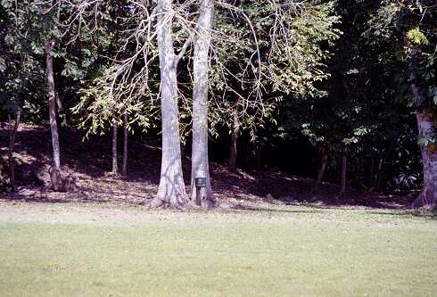ff000328.jpg