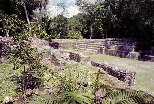 ff000337.jpg