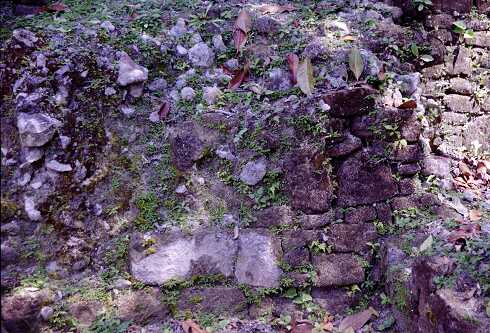 ff000340.jpg