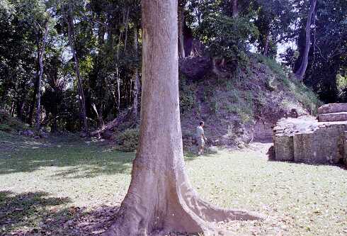 ff000355.jpg