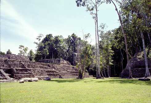 ff000401.jpg