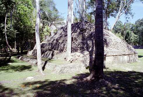 ff000455.jpg