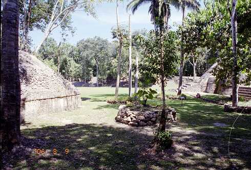 ff000456.jpg